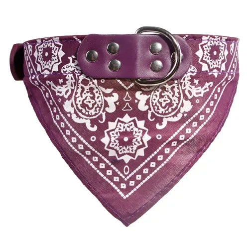 HappyTails™ - Chic Paisley Bandana & Leather Collar for Stylish Pets