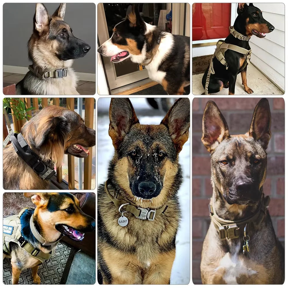 HappyTails™ - Heavy-Duty Tactical Dog Training Collar & Bungee Leash Set