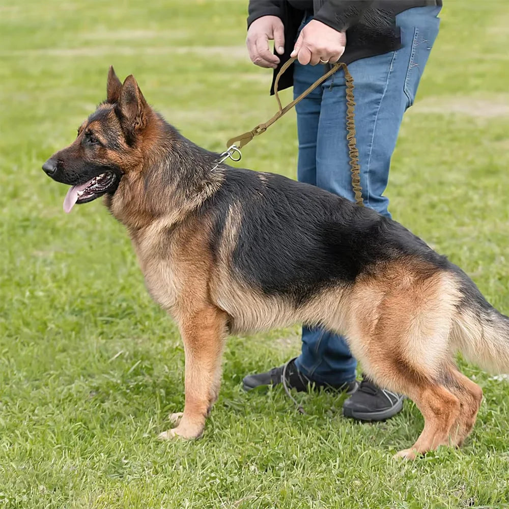 HappyTails™ - Heavy-Duty Tactical Dog Training Collar & Bungee Leash Set