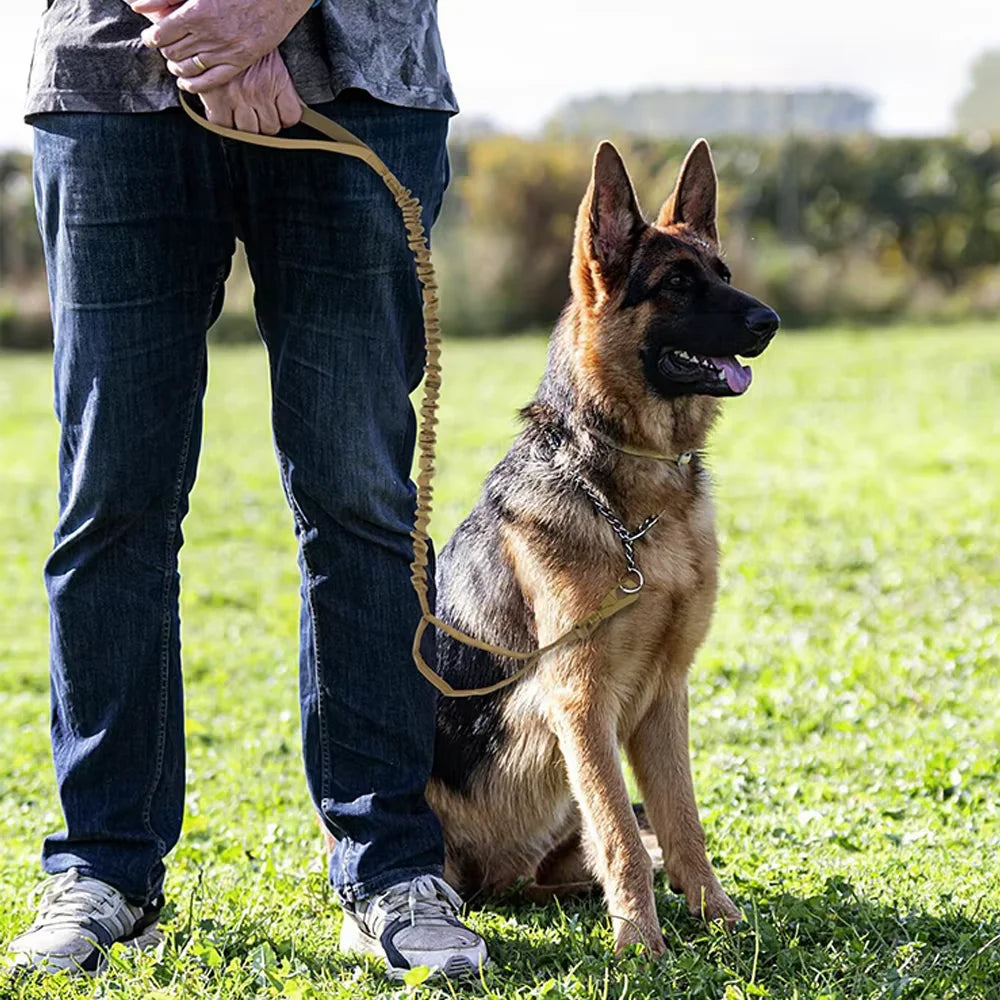 HappyTails™ - Heavy-Duty Tactical Dog Training Collar & Bungee Leash Set